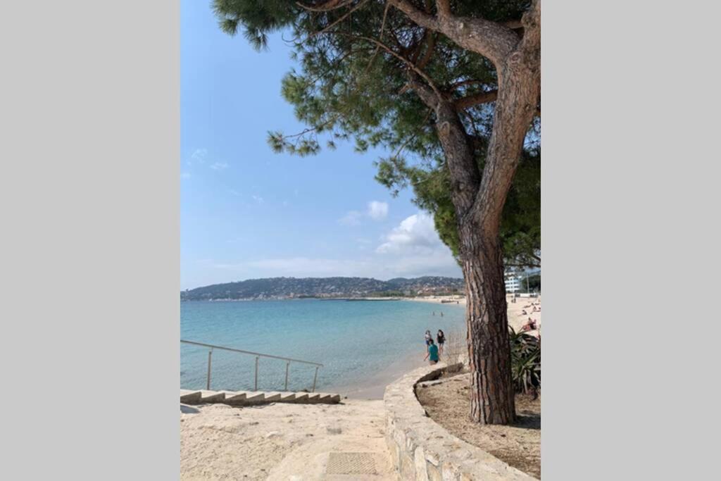 Juan Les Pins Joli T2 Parking Inclus! Apartment Antibes Bagian luar foto